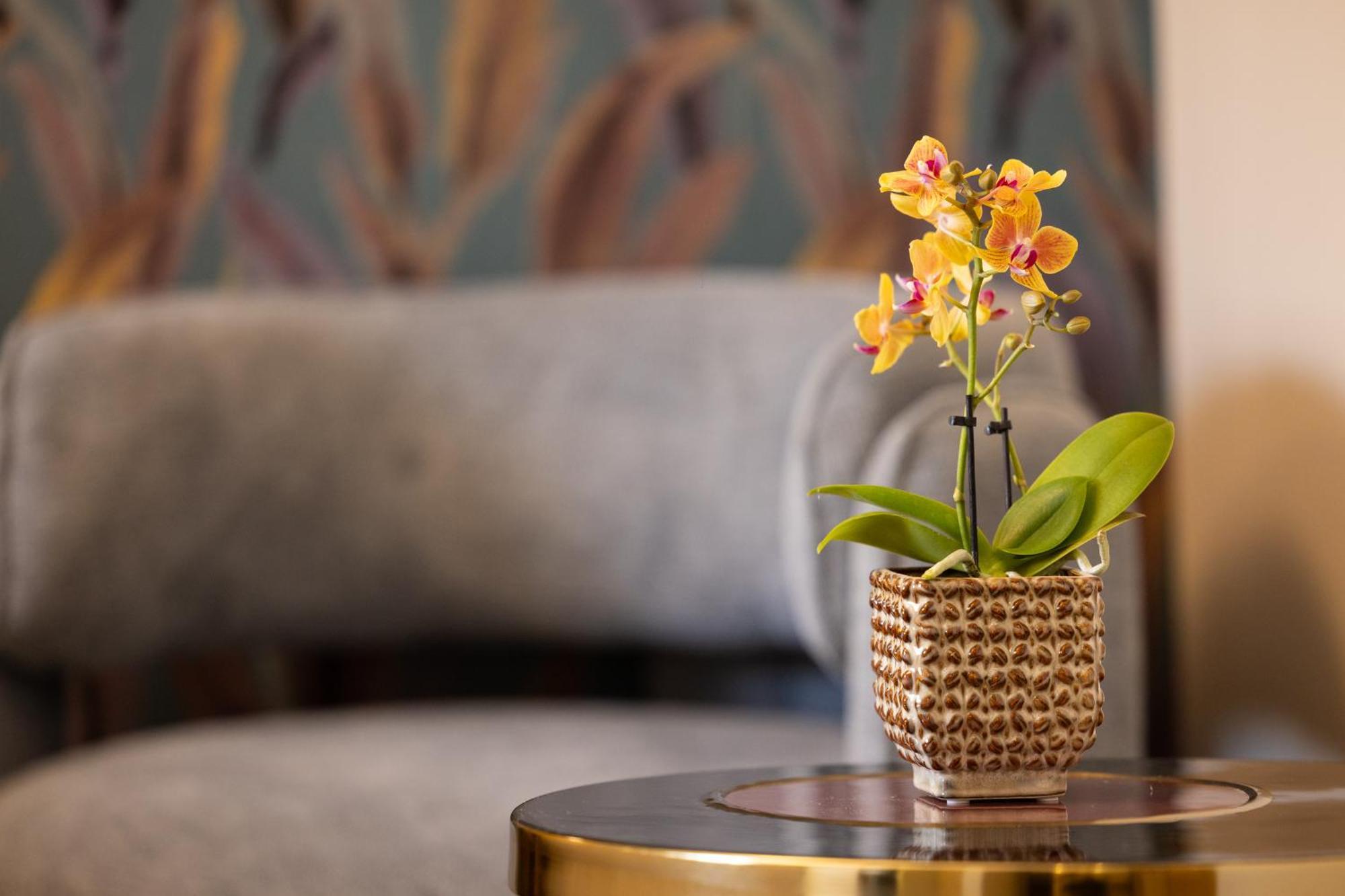 Mavi Luxury Suites โรม ภายนอก รูปภาพ
